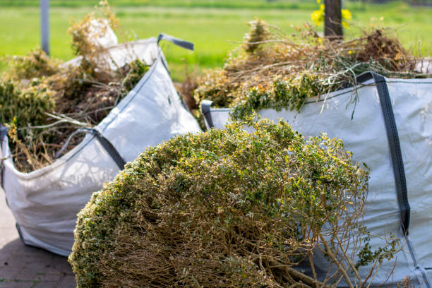 Professional Junk Removal in Huachuca City, AZ